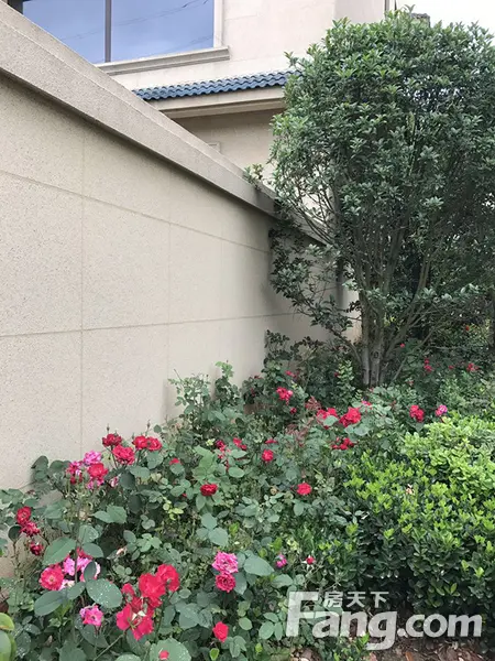 【南湖燕园】想要一个院子 看花开花落一辈子