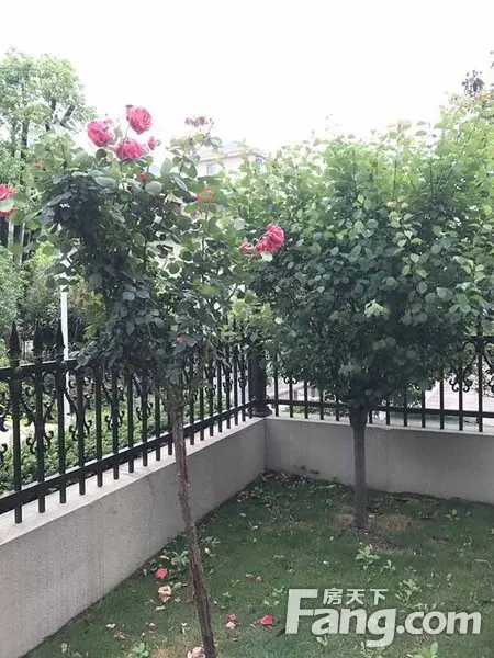 【燕园生活】回家有方繁花小院