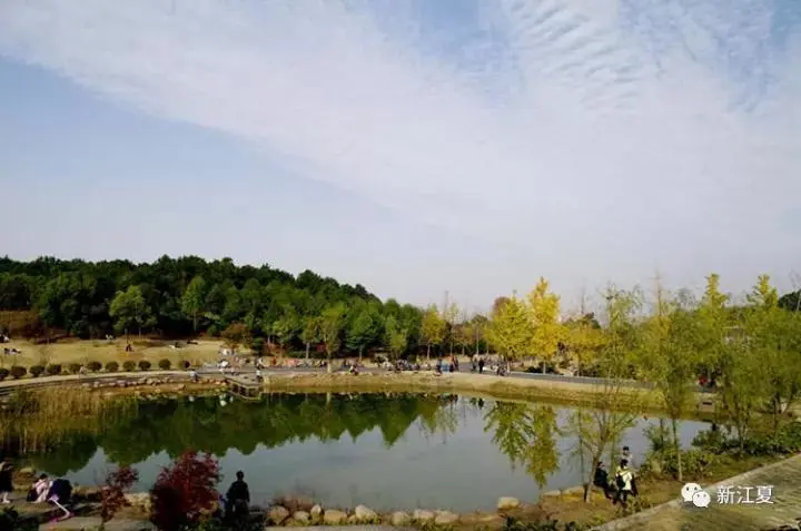 汤逊湖畔藏龙岛湿地公园美不胜收,纳帕溪谷享优美景观