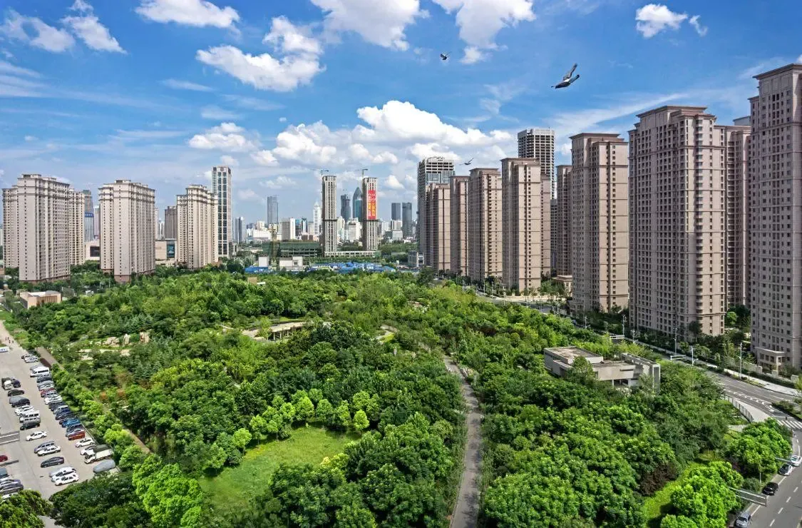 2017年武汉13个区谁的成绩最好