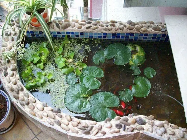 突发奇想在阳台砌了个鱼池成本不过千八百却让邻居艳羡不已