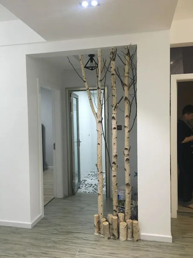 朋友装修用"三根小树枝"做玄关隔断,网友:开门见枯木,好吗?