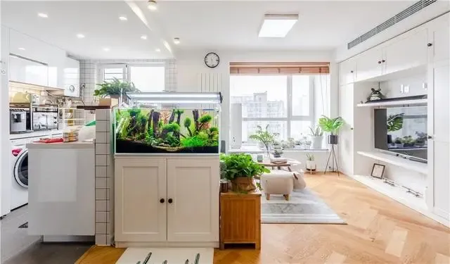 养鱼视觉上延伸空间,增强精致感浅木色的地板使用人字拼接进门视角